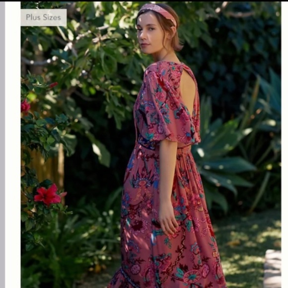 Anthropologie Floral Maxi Dress - Pink and Blue - Picture 2 of 14